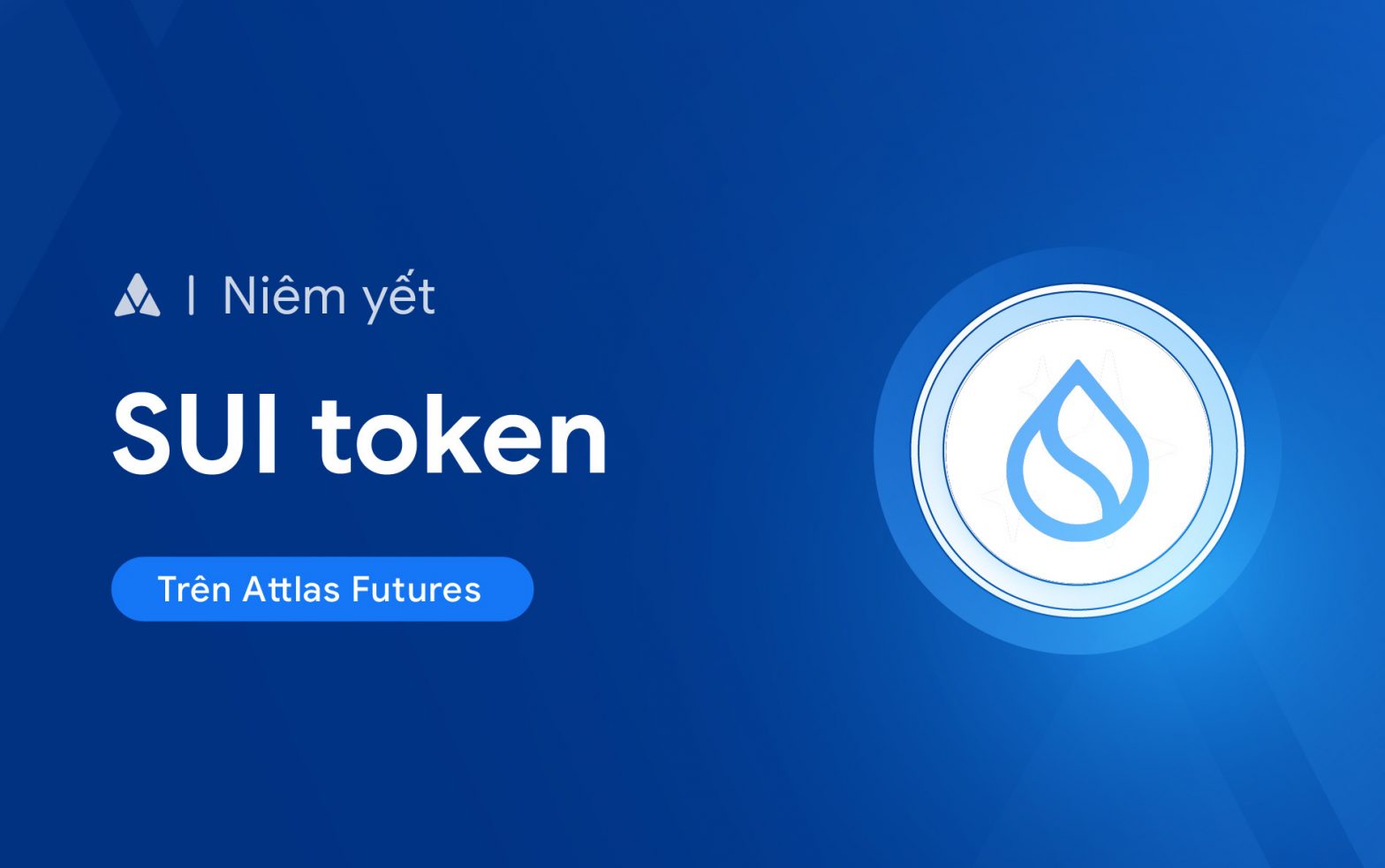 SUI token